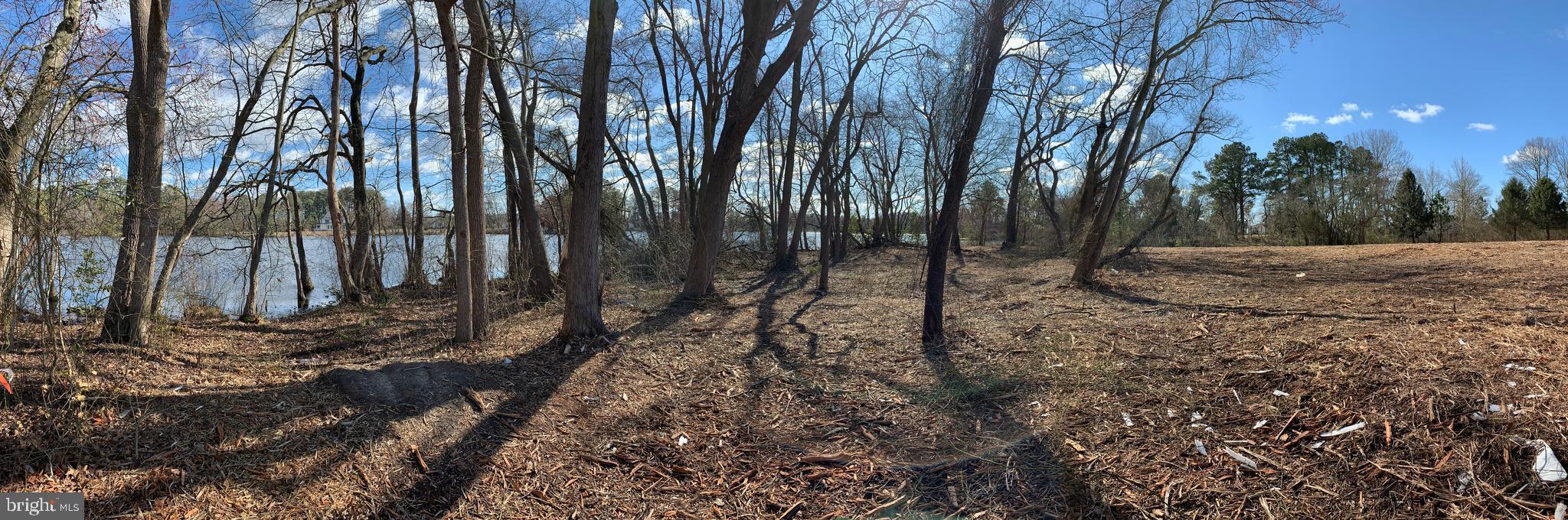 Newhart Mill Road Rhodesdale, MD 21659 - Photo 1 of 12