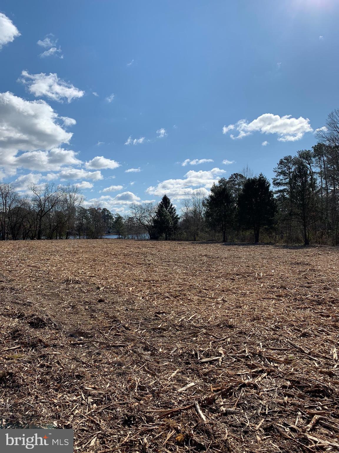 Newhart Mill Road Rhodesdale, MD 21659 - Photo 2 of 12