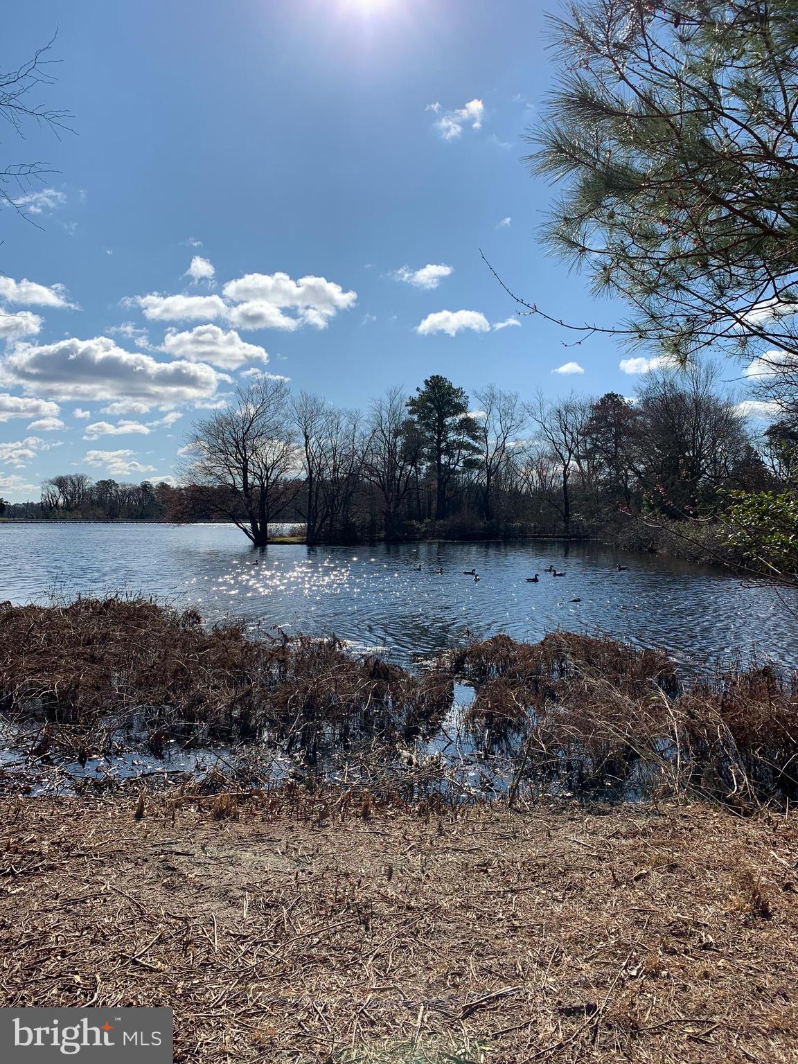 Newhart Mill Road Rhodesdale, MD 21659 - Photo 5 of 12