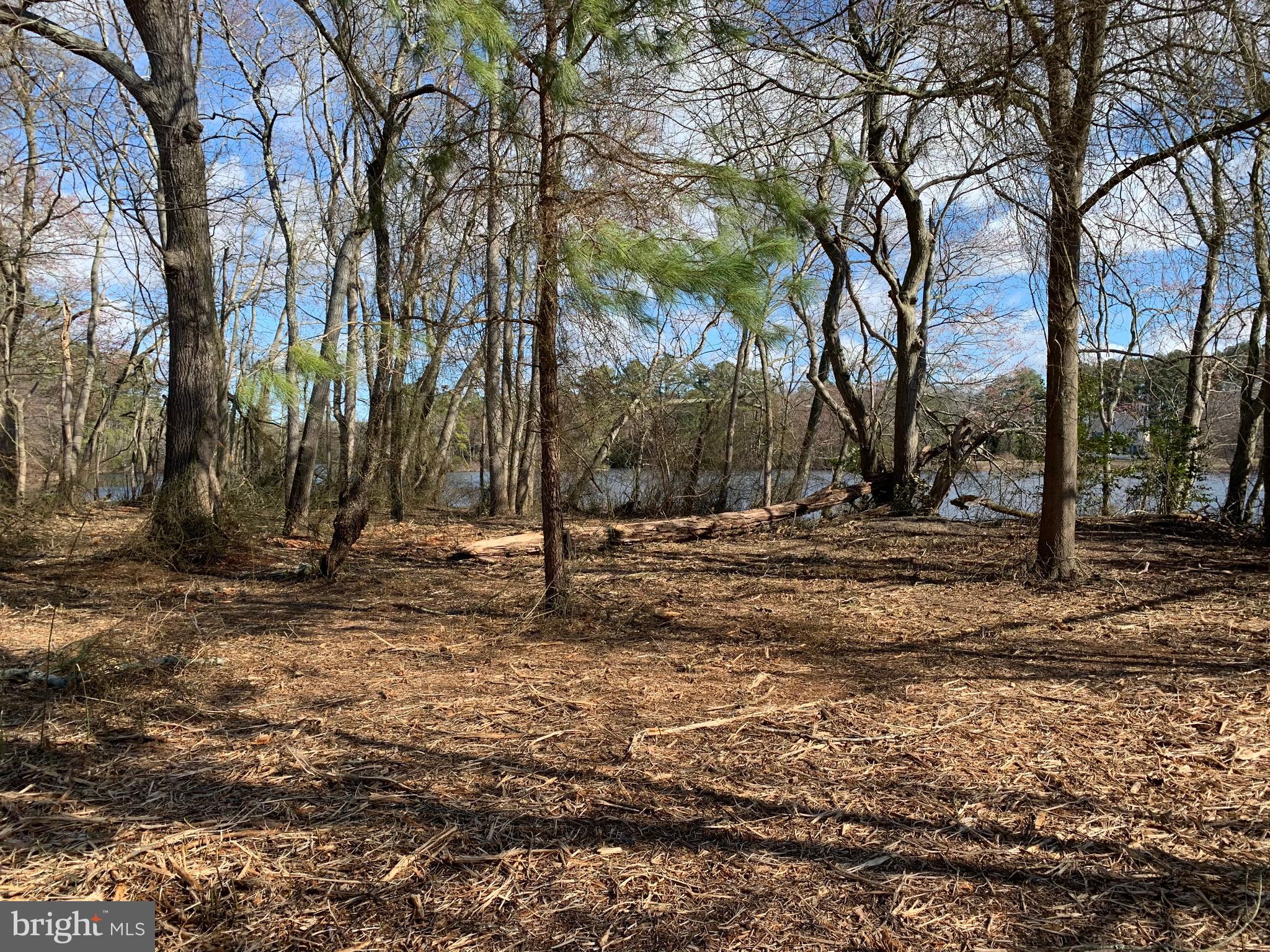 Newhart Mill Road Rhodesdale, MD 21659 - Photo 6 of 12