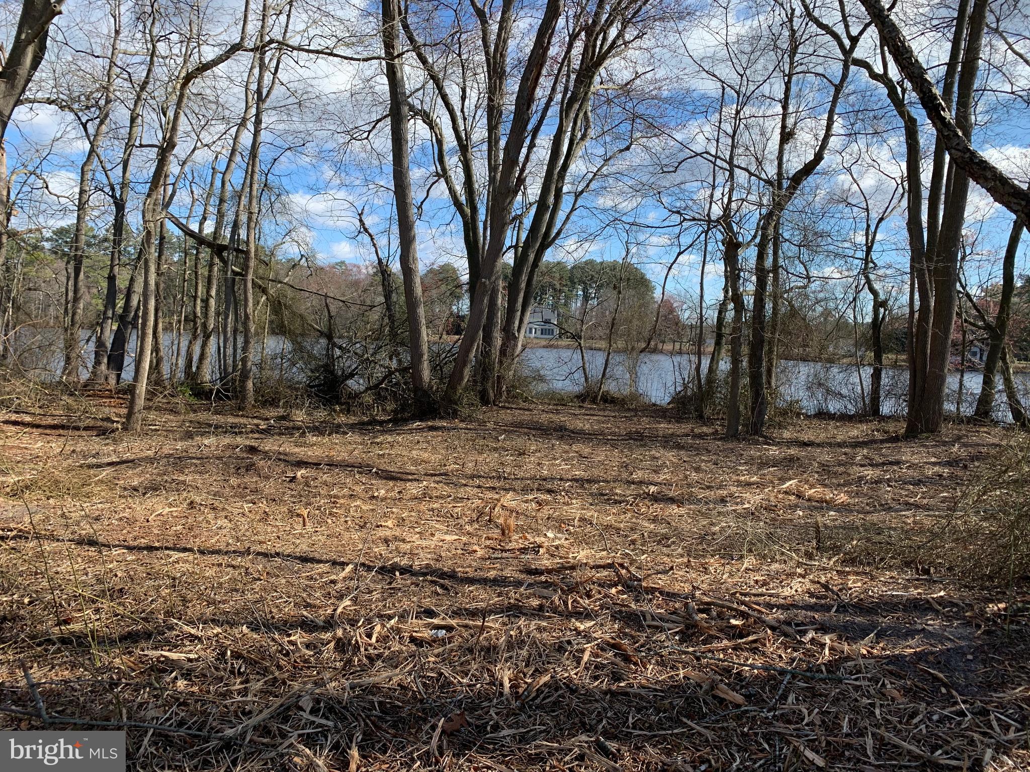Newhart Mill Road Rhodesdale, MD 21659 - Photo 7 of 12