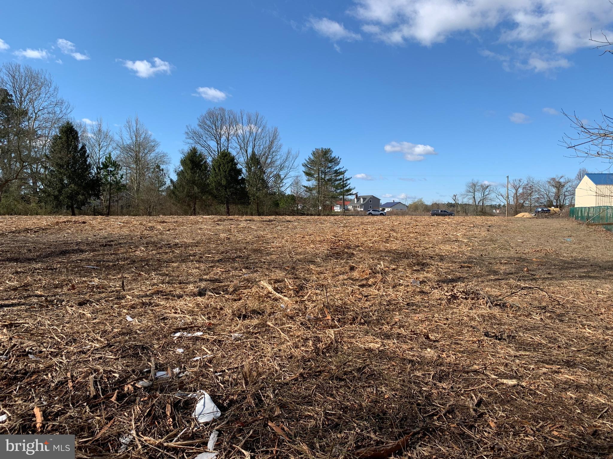 Newhart Mill Road Rhodesdale, MD 21659 - Photo 8 of 12