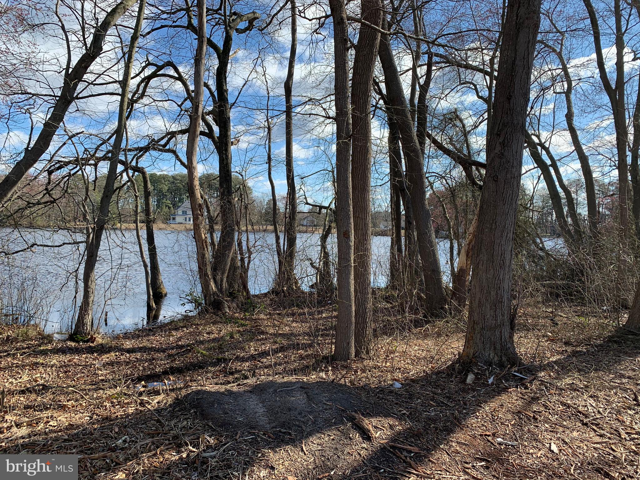 Newhart Mill Road Rhodesdale, MD 21659 - Photo 10 of 12