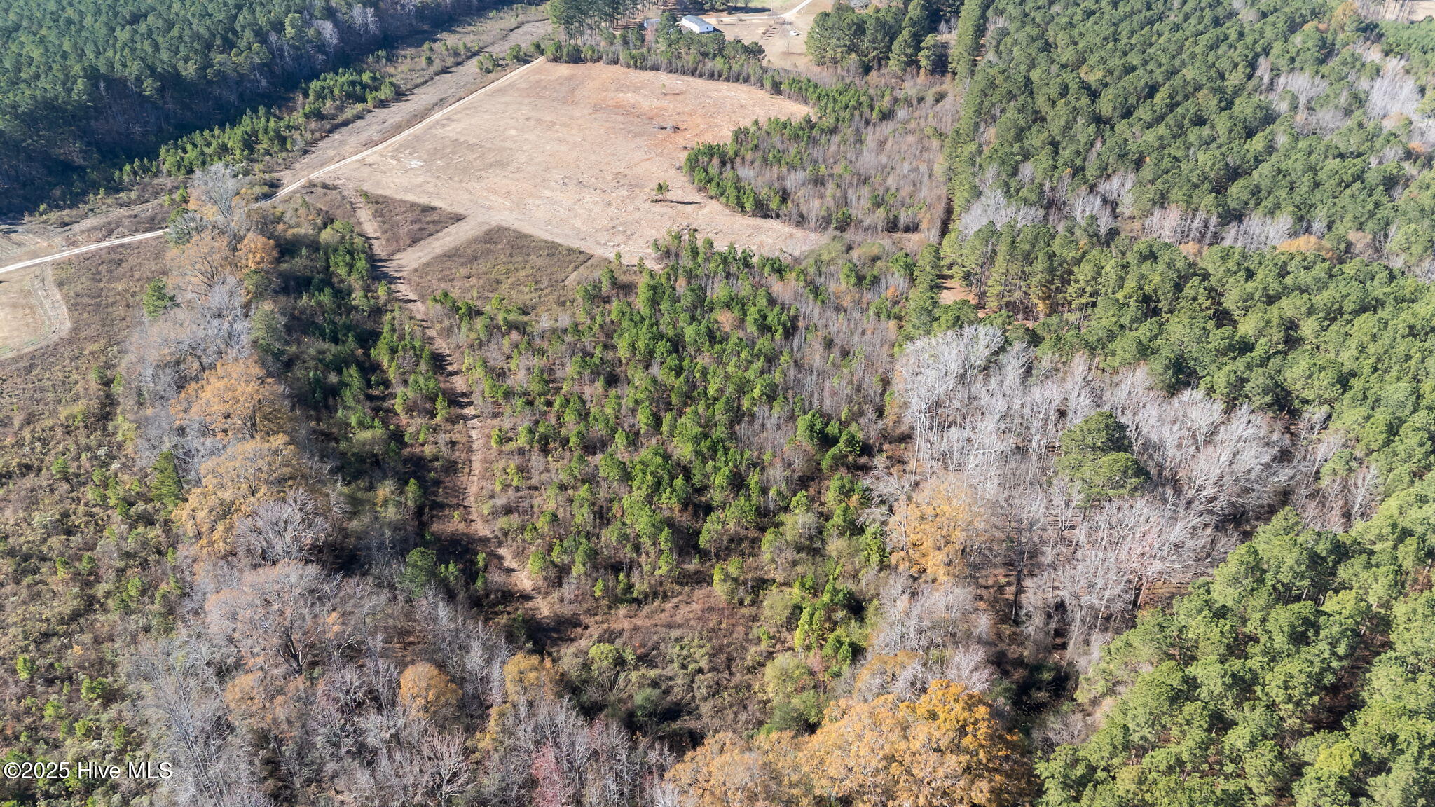 3 West Old Spring Spring Hope, NC 27882 - Photo 3 of 11 3