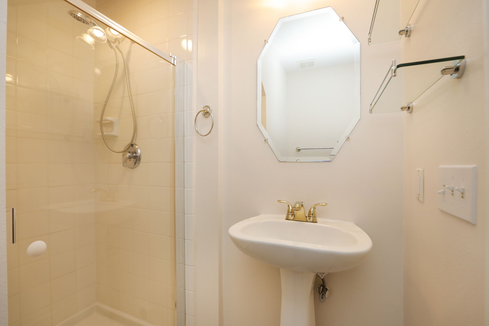 1893 Ewing Street Houston, TX 77004 - Photo 10 of 39 a bathroom with a sink a mirror and shower