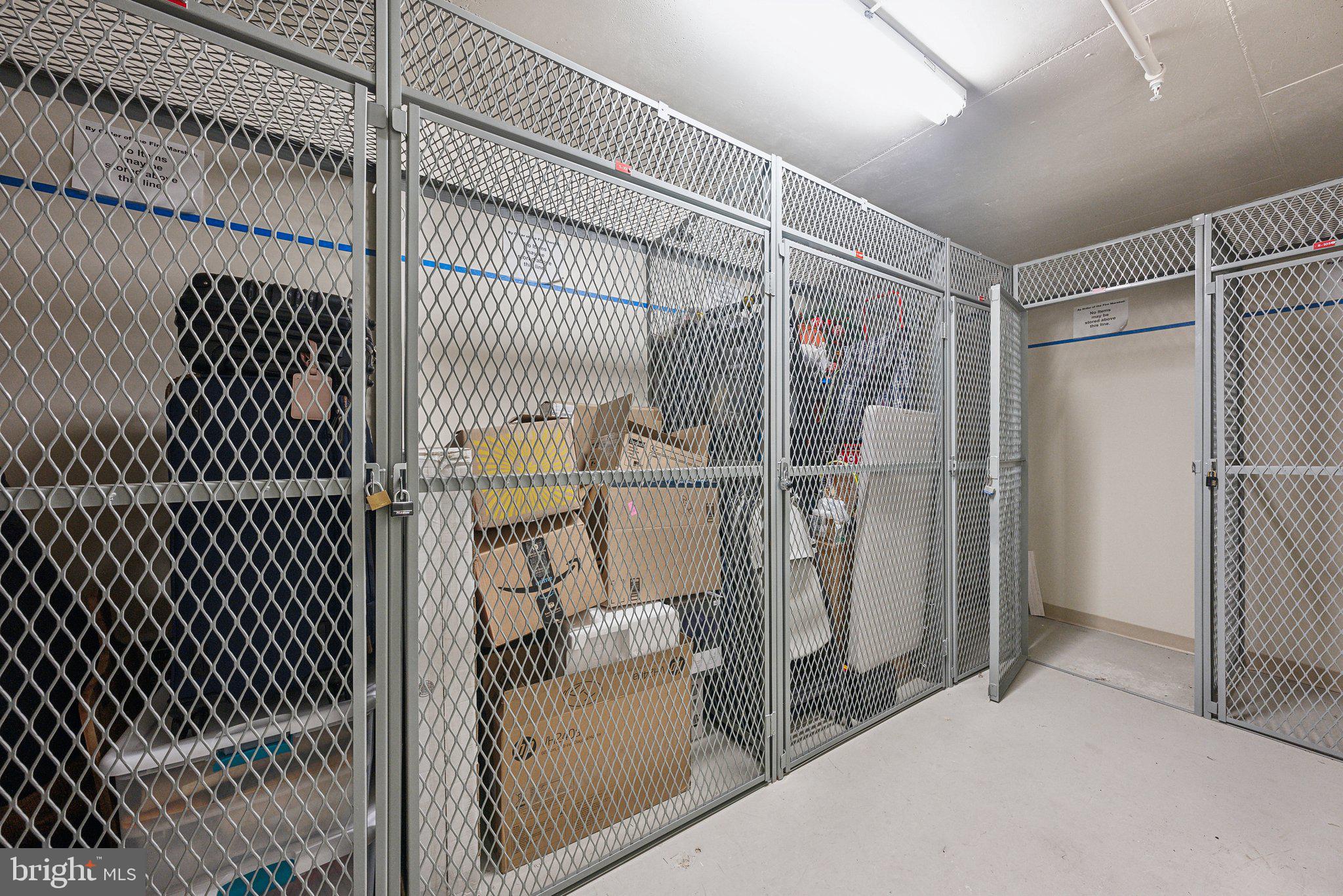 851 North Glebe Road, Unit 2008 Arlington, VA 22203 - Photo 28 of 37 Secure storage solutions for your needs.