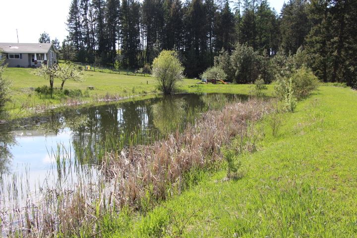 11603 East Day Mt Spokane Road Mead, WA 99021 - Photo 13 of 20