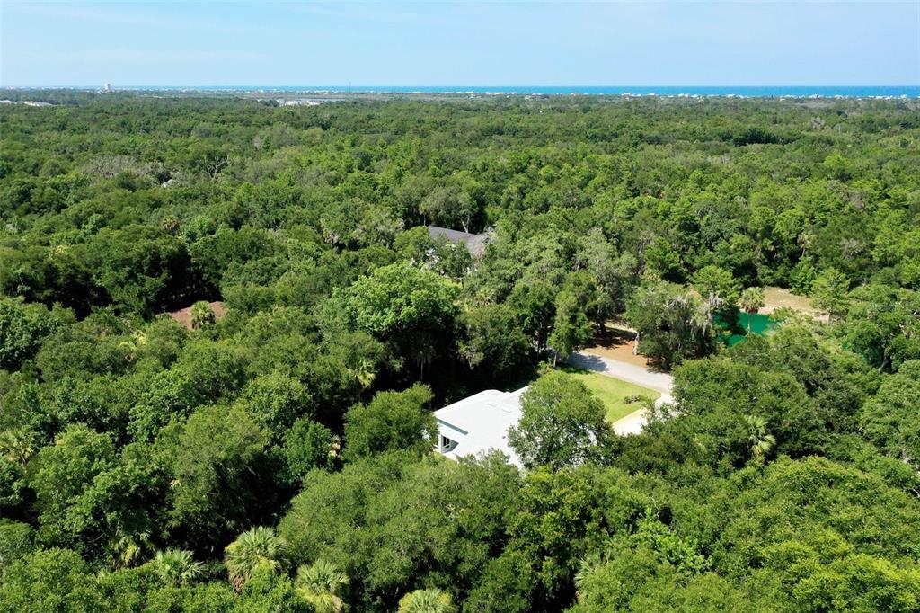 73 Bridle Ridge Court Flagler Beach, FL 32136 - Photo 70 of 90