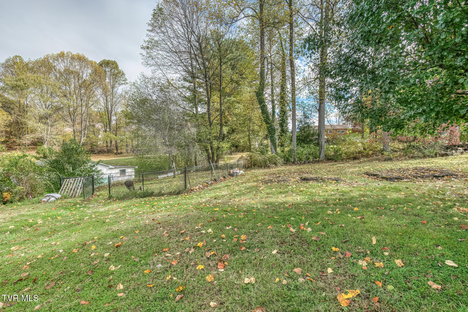 228 Edgefield Road Bristol, TN 37620 - Photo 41 of 47 228 Edgefield Rd-42