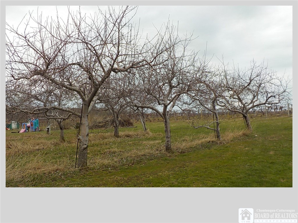 10662 Carris Road Ripley, NY 14775 - Photo 2 of 9