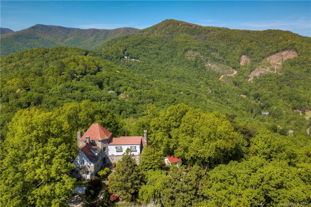 300 Piney Mountain Road Tryon, NC 28782 - Photo 10 of 21