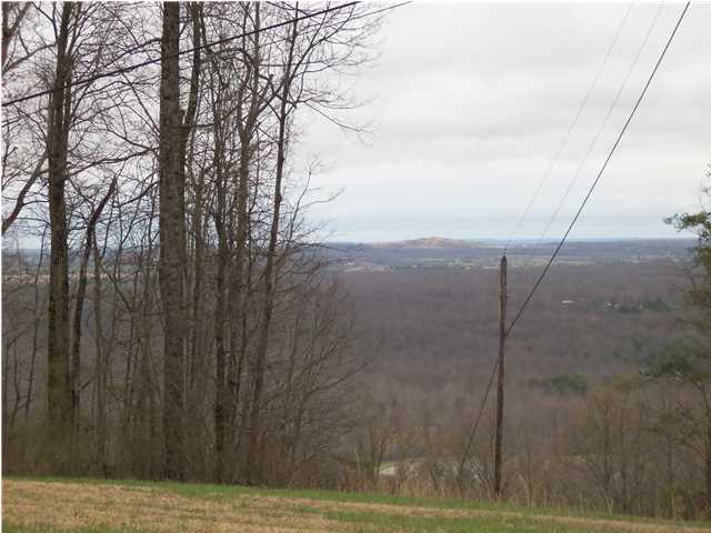358 Fire Tower Road Dunlap, TN 37327 - Photo 16 of 36 Additional Photo