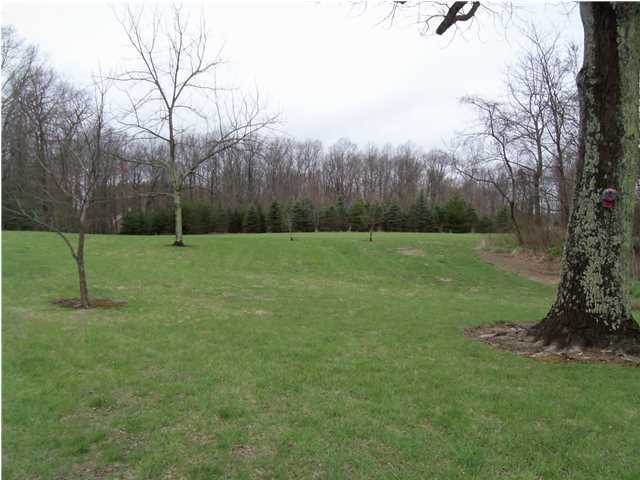 358 Fire Tower Road Dunlap, TN 37327 - Photo 19 of 36 Additional Photo