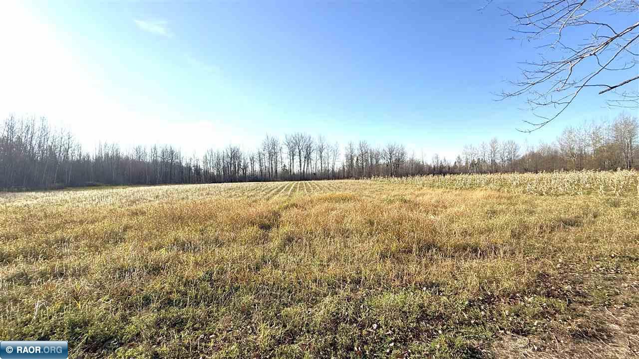 11680 Co Road Orr, MN 55771 - Photo 16 of 23