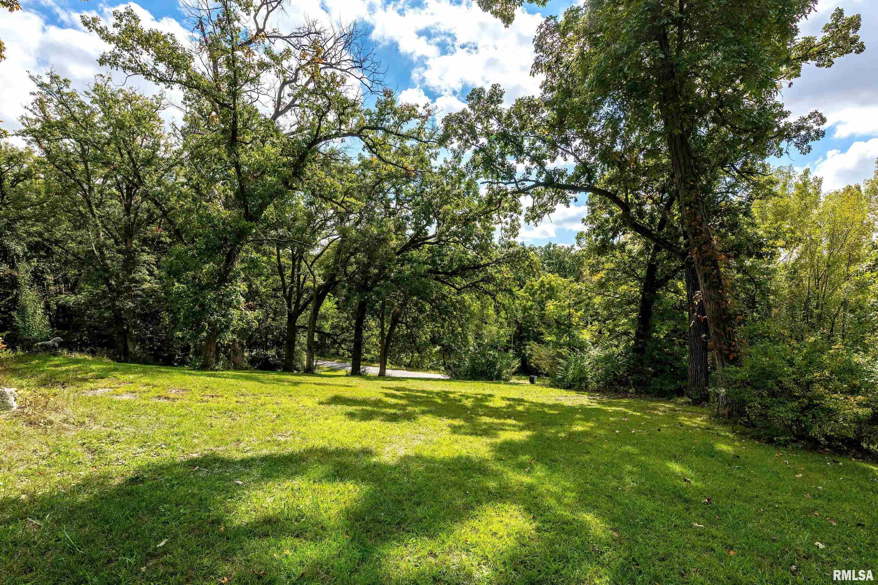 17780 Warner Castle Road Orion, IL 61273 - Photo 8 of 30