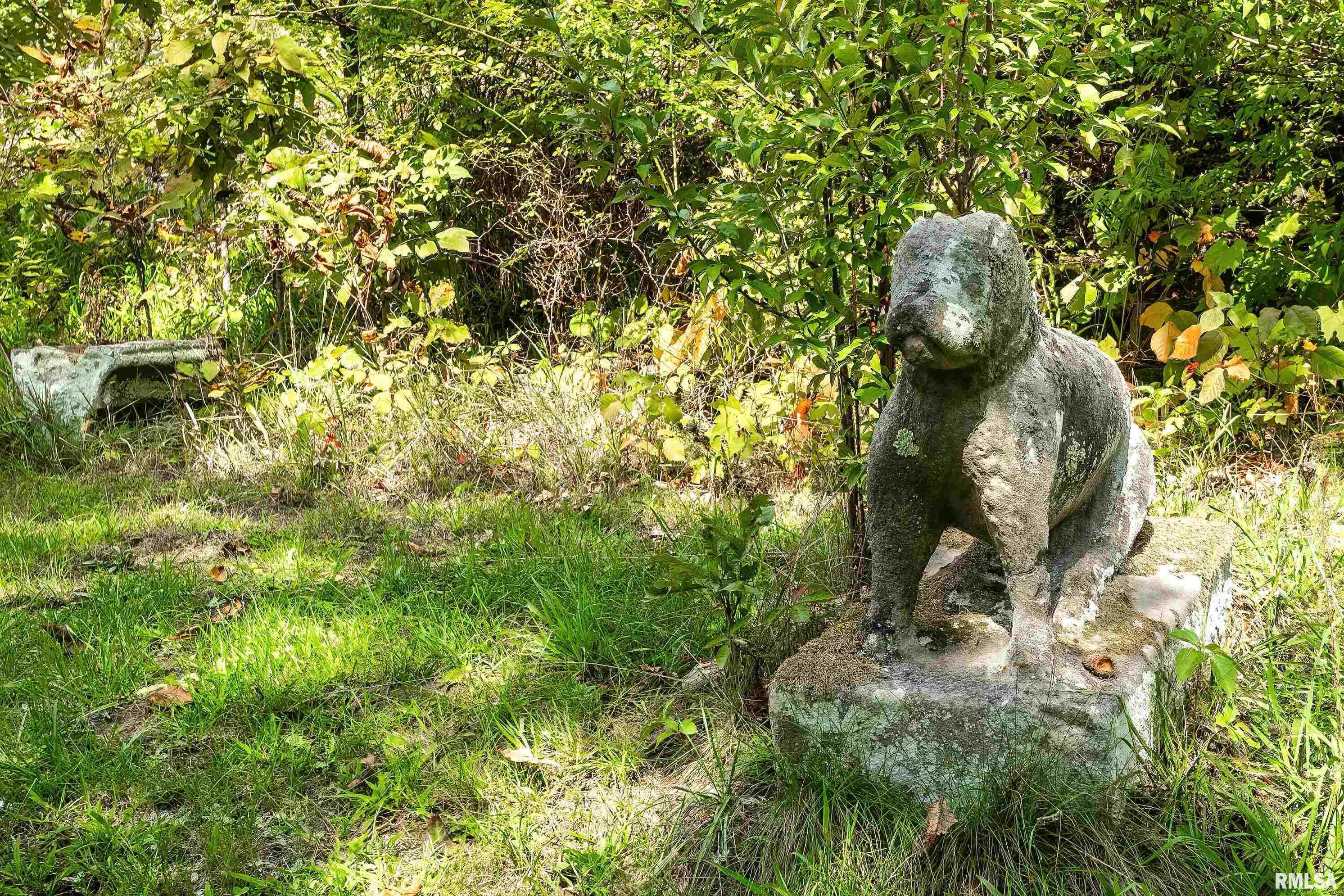 17780 Warner Castle Road Orion, IL 61273 - Photo 9 of 30