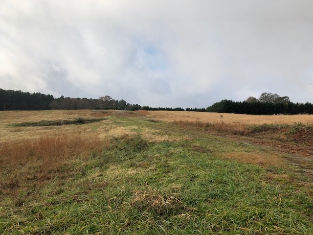 9054 Parris Bridge Road Chesnee, SC 29323 - Photo 6 of 16