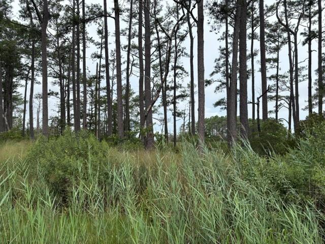 0 Ridge Road, Unit 9 Bloxom, VA 23308 - Photo 1 of 3 Gallery Image 1