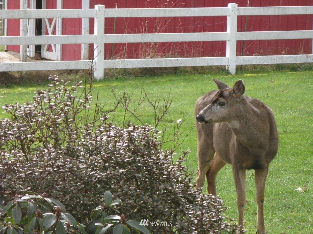511 South Fork Road Raymond, WA 98577 - Photo 7 of 15 Gallery Image 7