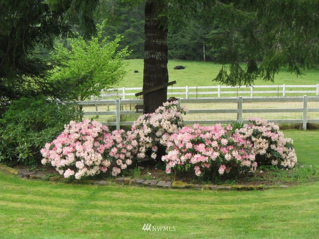 511 South Fork Road Raymond, WA 98577 - Photo 8 of 15 Gallery Image 8