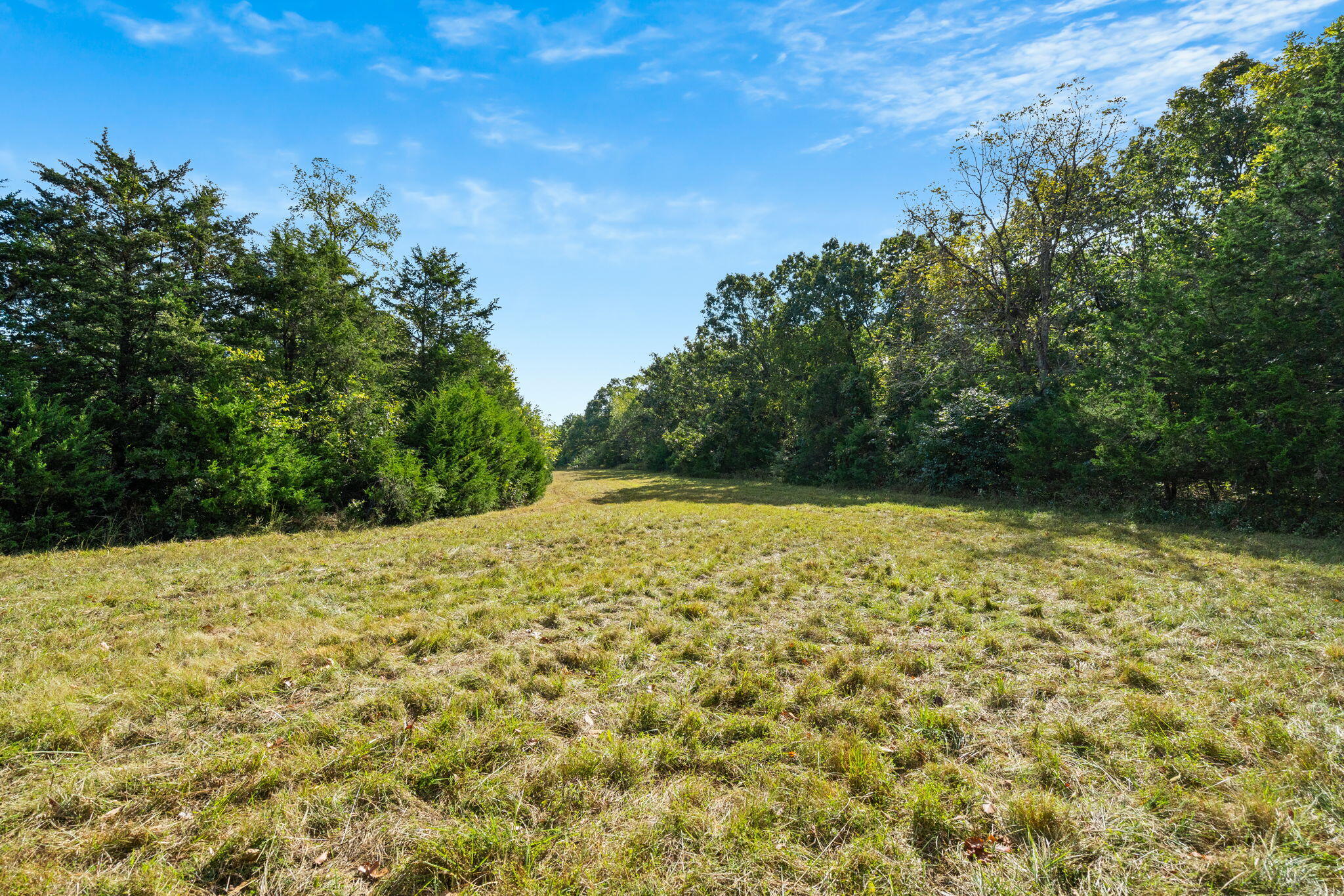 0 Bobcat Road Fordland, MO 65652 - Photo 20 of 24 000 Bobcat Rd