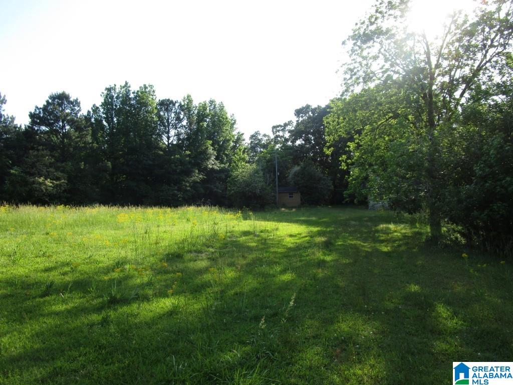 4956 Kings Mill Road Oakman, AL 35579 - Photo 9 of 27