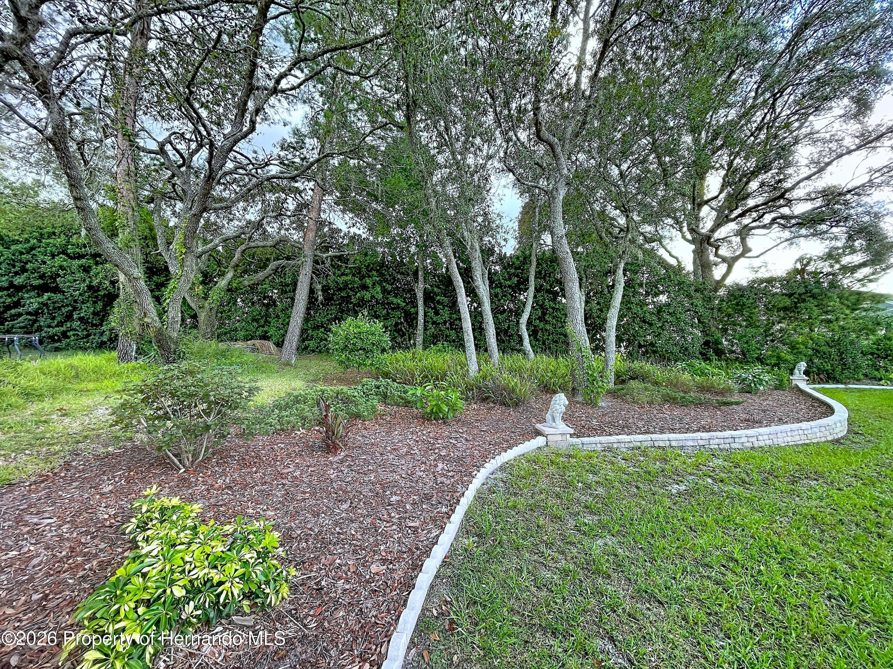 10333 Ridge Top Loop Weeki Wachee, FL 34613 - Photo 60 of 65