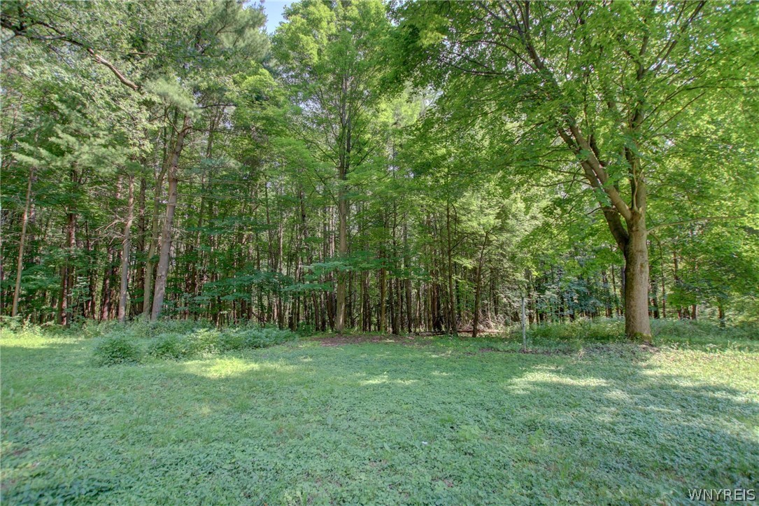5880 Draudt Road Orchard Park, NY 14127 - Photo 4 of 41