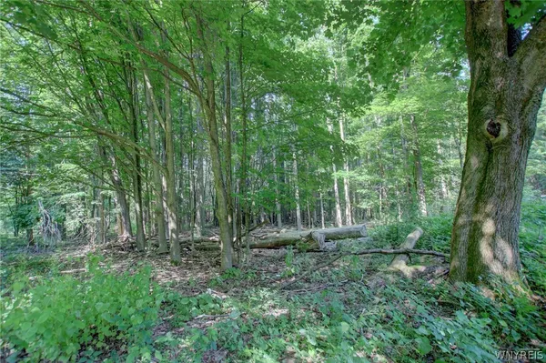 $2,900 | 5880 Draudt Road, Orchard Park, NY 14127