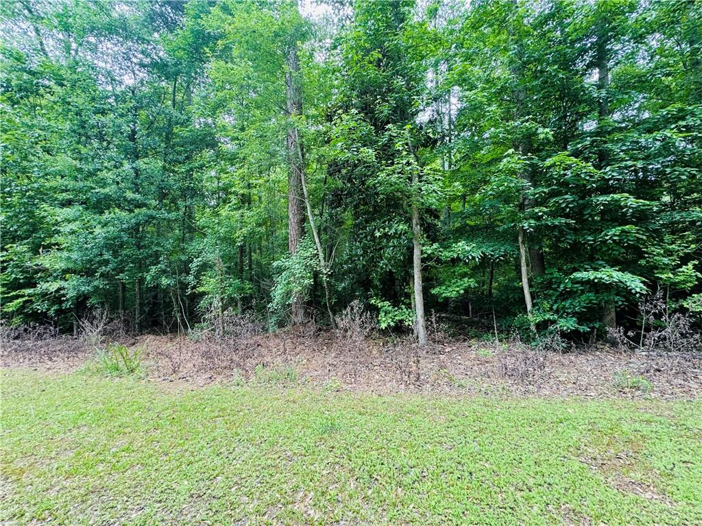 0 Pace Road Fairburn, GA 30213 - Photo 7 of 8 Gallery Image 7