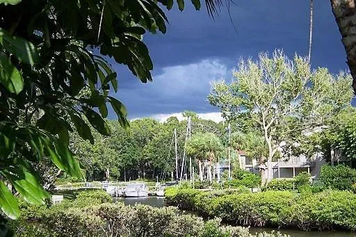 a view of a yard with plants