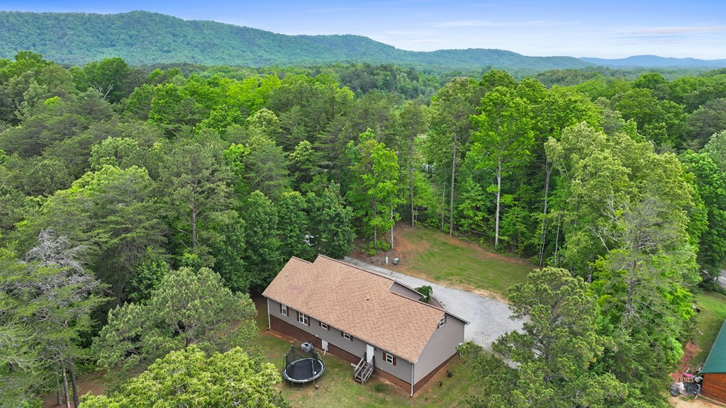 140 Croft Chapel Road Turtletown, TN 37391 - Photo 3 of 37 Gallery Image 3
