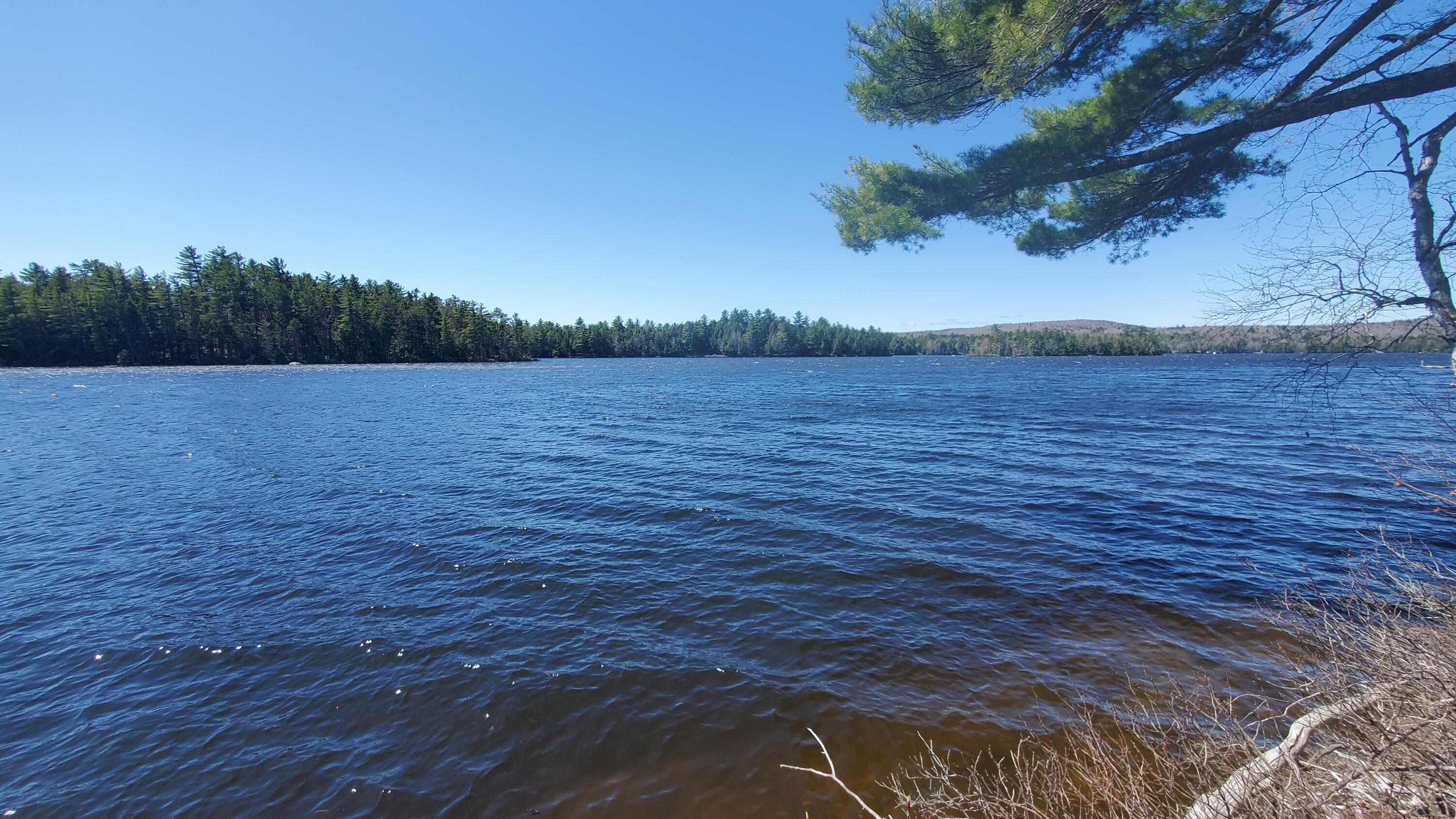 307 Lakeville Shores Road Lakeville, ME 04487 - Photo 35 of 39 20250430_113815