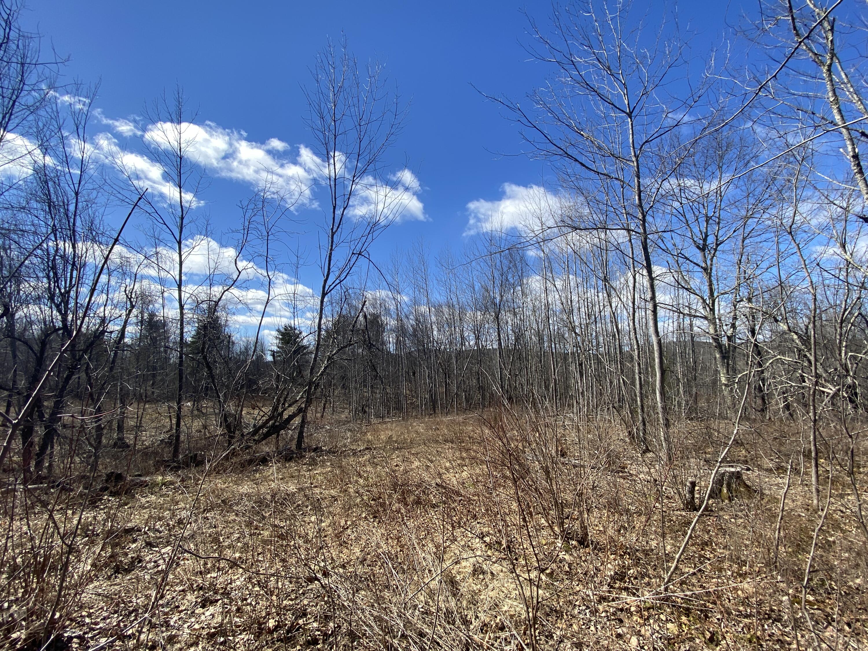 Lot C2 Chandler Road Monroe, ME 04951 - Photo 3 of 7 B5511D6C-817C-4BAE-BCC0-3AB01341F0F3
