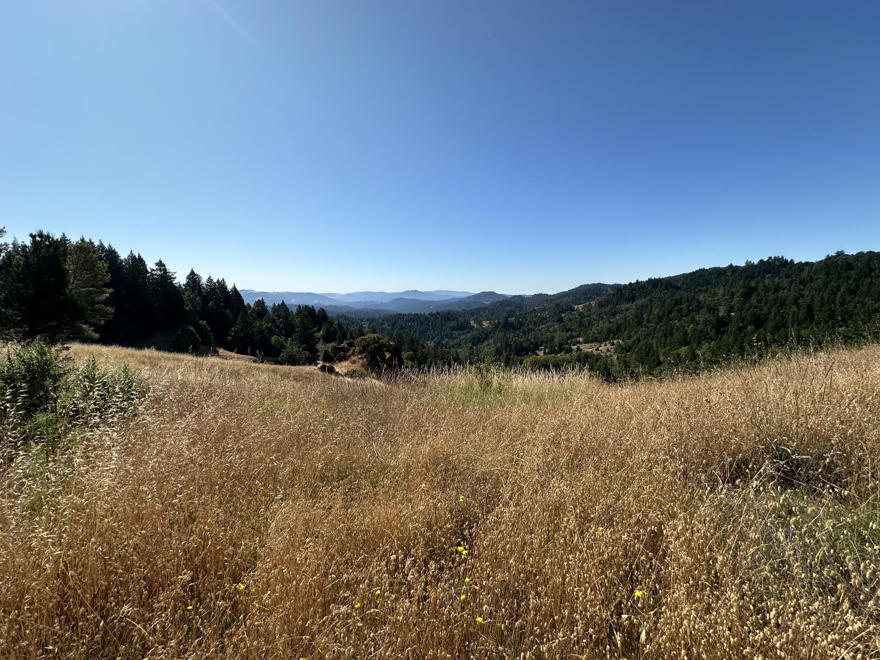 1800 Road B Road Miranda, CA 95553 - Photo 43 of 45