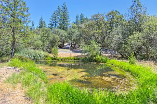 $699,000 | 15288 William Drive, Auburn, CA 95602