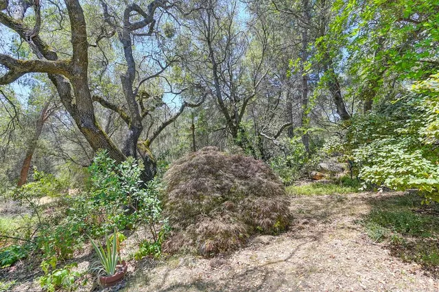 $699,000 | 15288 William Drive, Auburn, CA 95602