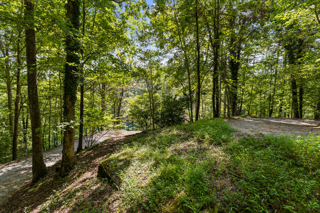 44-45 Overlook Drive Blue Ridge, GA 30513 - Photo 24 of 27 Gallery Image 24