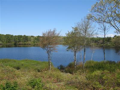 1 Eldridge Pond Road Harwich, MA 02645 - Photo 1 of 15 Primary Photo