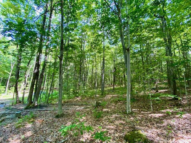 27 Nocturne Road Parsonsfield, ME 04047 - Photo 11 of 16 IMG_3077