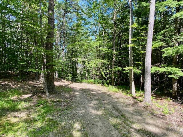 27 Nocturne Road Parsonsfield, ME 04047 - Photo 12 of 16 IMG_3081