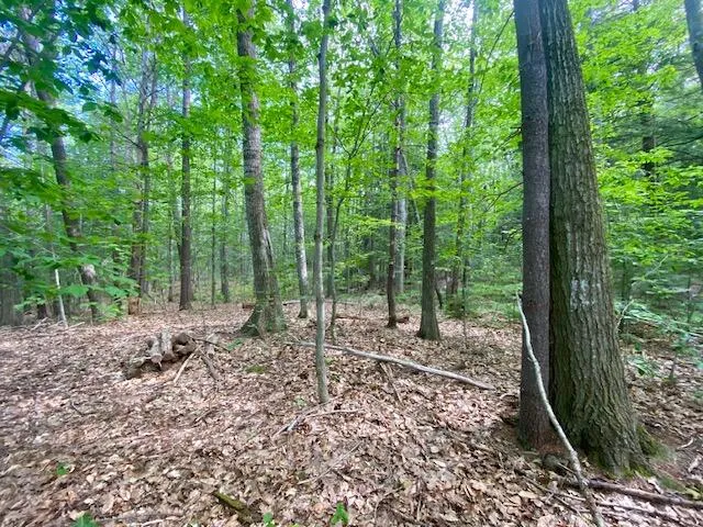 $165,000 | 27 Nocturne Road, Parsonsfield, ME 04047