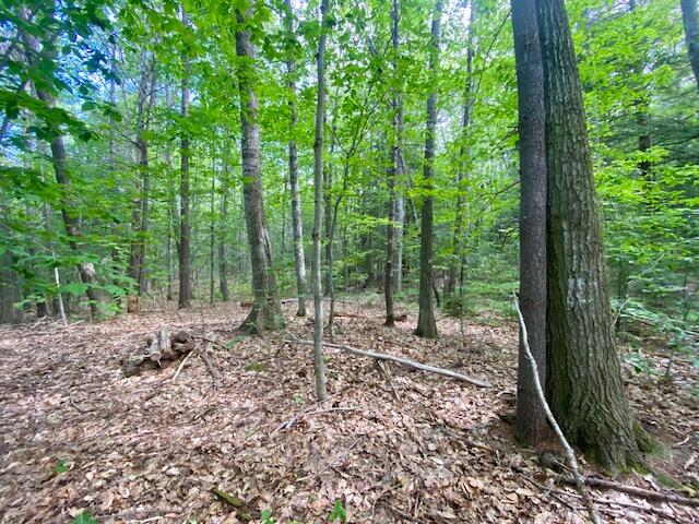 27 Nocturne Road Parsonsfield, ME 04047 - Photo 15 of 16 IMG_3088