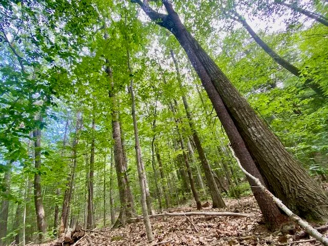 $165,000 | 27 Nocturne Road, Parsonsfield, ME 04047