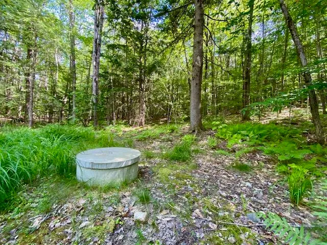 $165,000 | 27 Nocturne Road, Parsonsfield, ME 04047