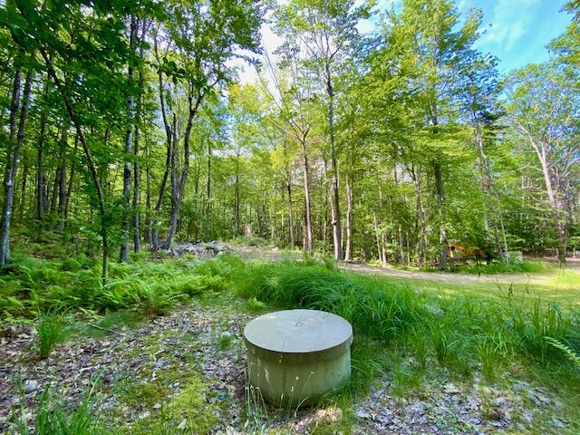 27 Nocturne Road Parsonsfield, ME 04047 - Photo 5 of 16 IMG_3079