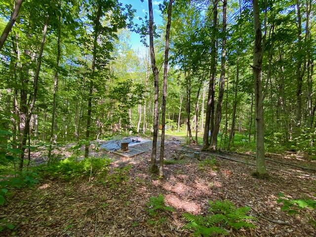 27 Nocturne Road Parsonsfield, ME 04047 - Photo 8 of 16 IMG_3076