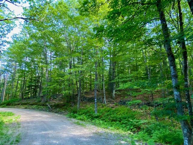 27 Nocturne Road Parsonsfield, ME 04047 - Photo 10 of 16 IMG_3073