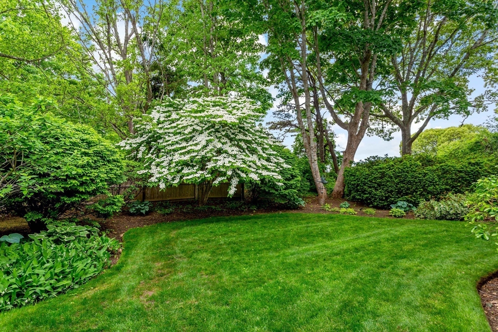 105 Parker Road, Unit B Barnstable, MA 02655 - Photo 5 of 36 Gallery Image 5