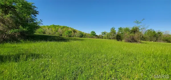 $595,000 | 2164 Wayne 220 B, Silva, MO 63964